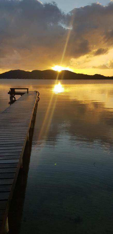 Girassois Da Lagoa - Guesthouse Florianópolis Eksteriør billede